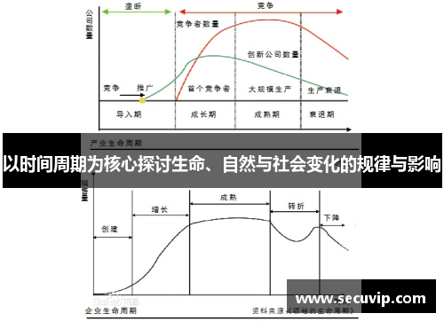 以时间周期为核心探讨生命、自然与社会变化的规律与影响